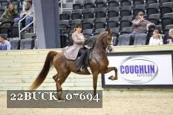 22BUCK_07694 proof