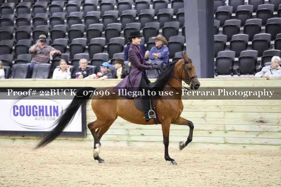 Proof 22BUCK_07696