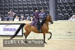 22BUCK_07696 proof