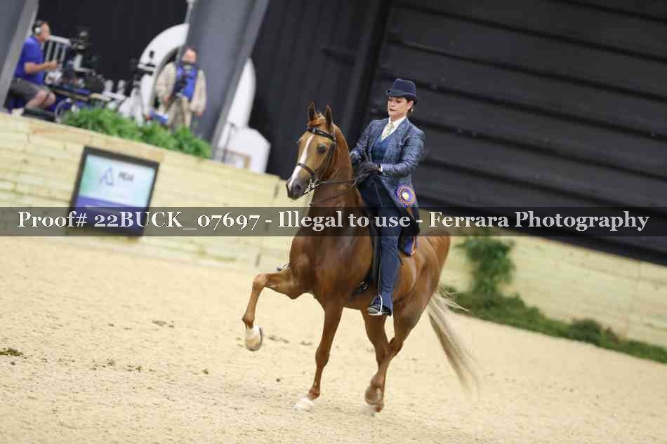 Proof 22BUCK_07697