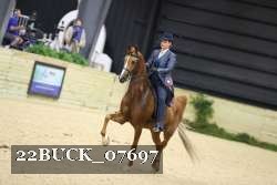 22BUCK_07697 proof