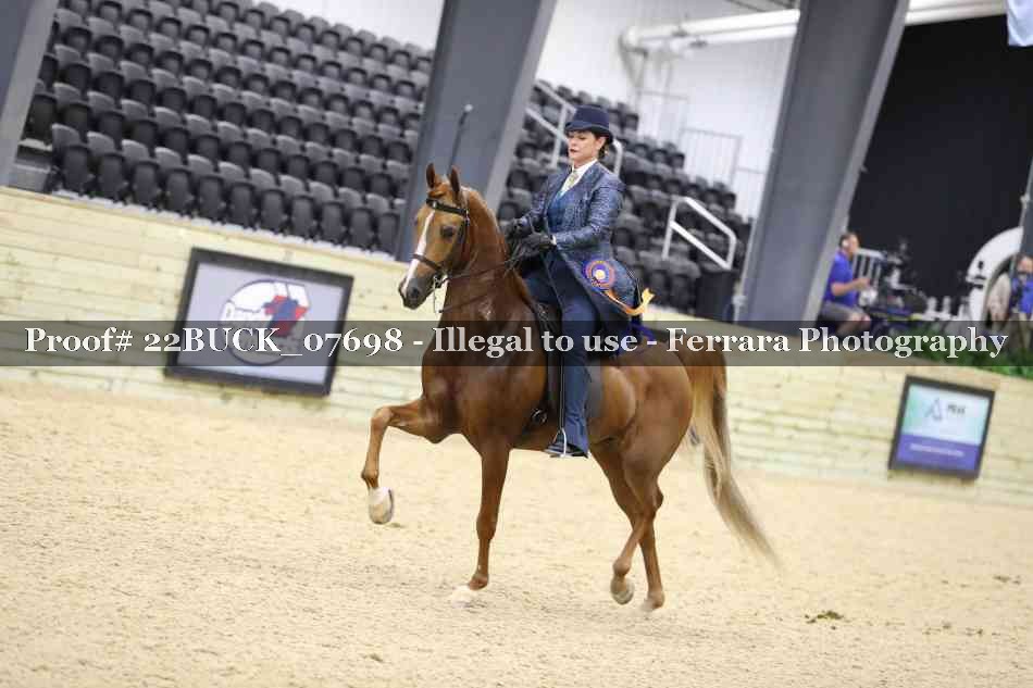 Proof 22BUCK_07698