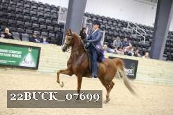 22BUCK_07699 proof