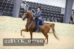 22BUCK_07700 proof