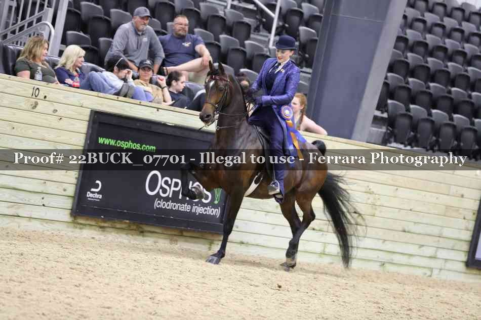 Proof 22BUCK_07701