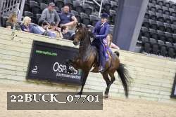 22BUCK_07701 proof