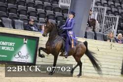 22BUCK_07702 proof