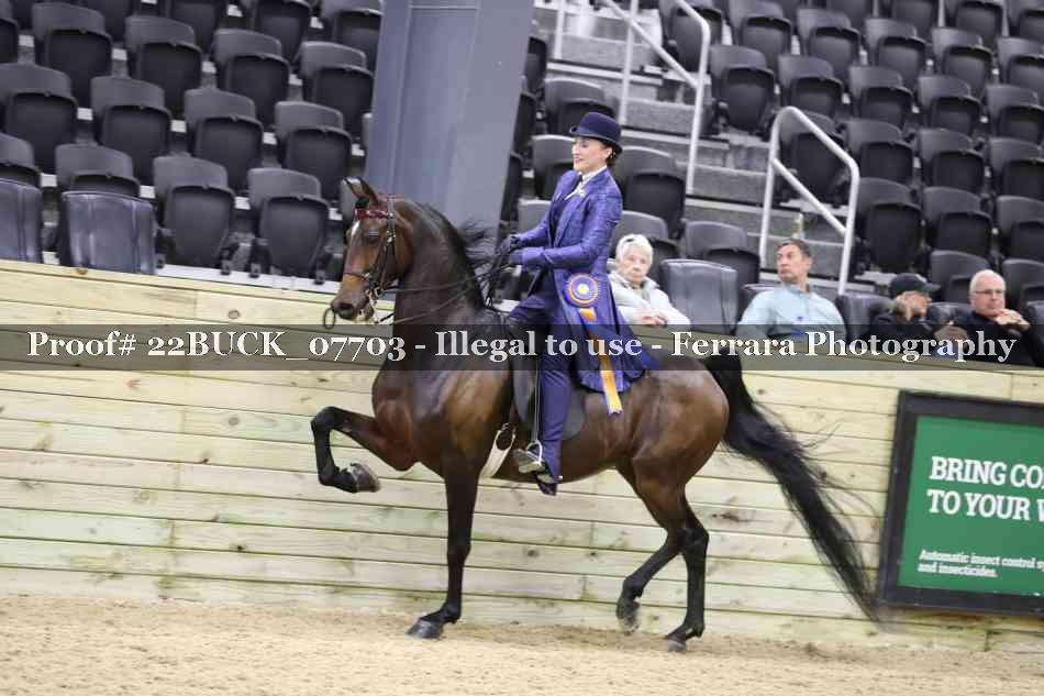 Proof 22BUCK_07703