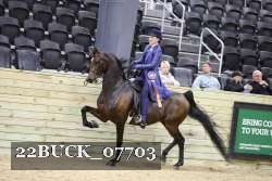 22BUCK_07703 proof