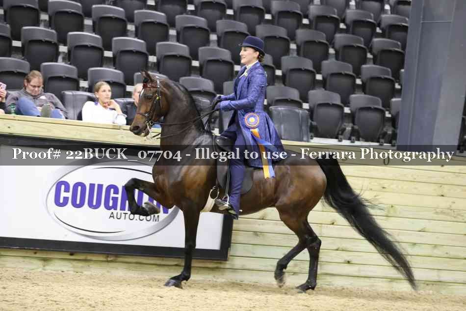 Proof 22BUCK_07704