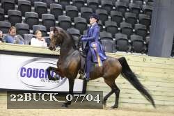 22BUCK_07704 proof