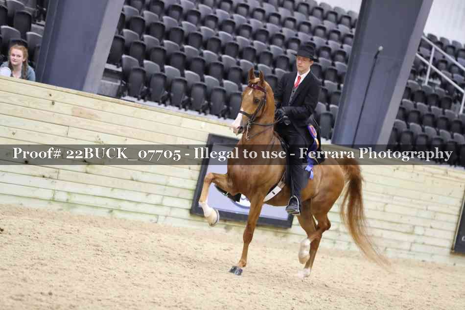 Proof 22BUCK_07705