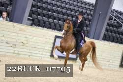 22BUCK_07705 proof
