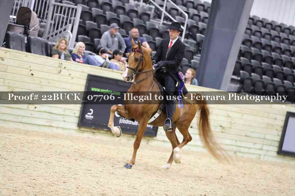 Proof 22BUCK_07706