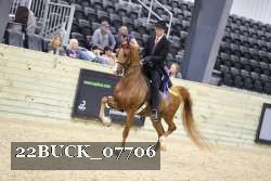 22BUCK_07706 proof
