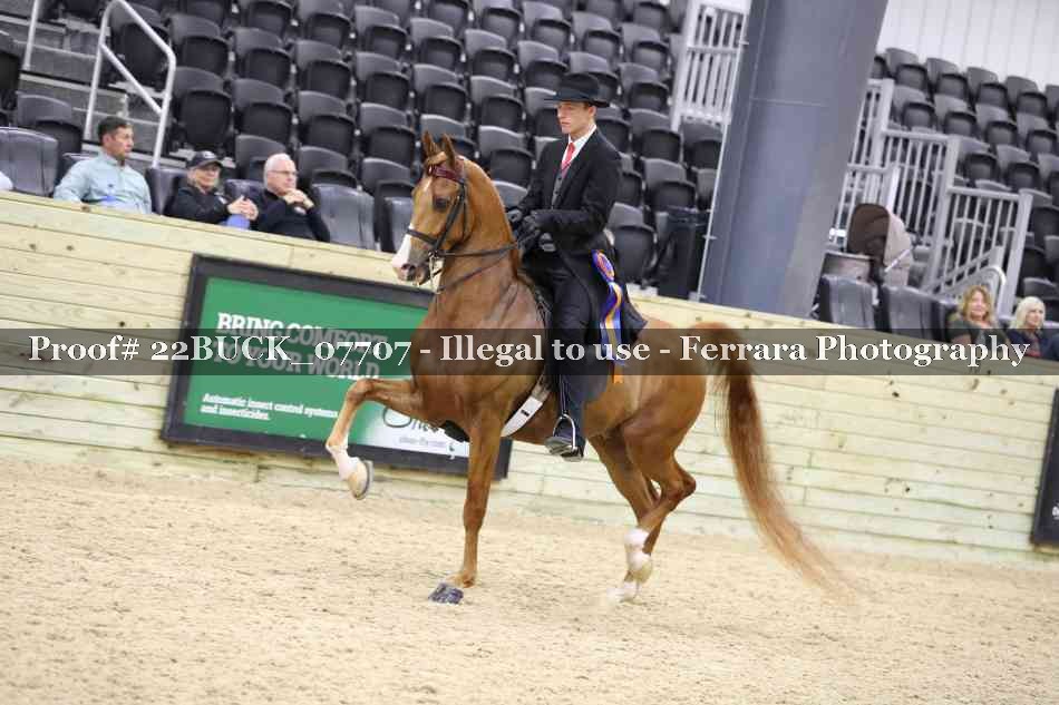 Proof 22BUCK_07707