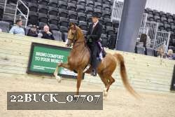 22BUCK_07707 proof