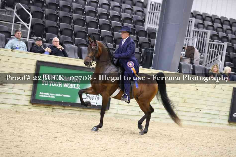 Proof 22BUCK_07708