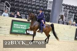 22BUCK_07708 proof