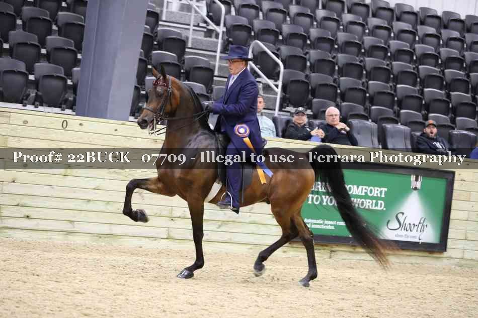 Proof 22BUCK_07709