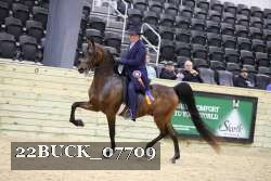 22BUCK_07709 proof