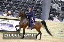 22BUCK_07710 proof