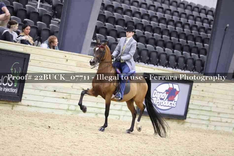 Proof 22BUCK_07711