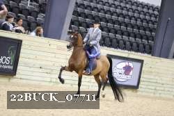 22BUCK_07711 proof