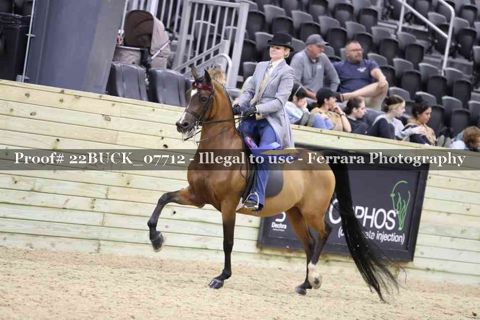 Proof 22BUCK_07712