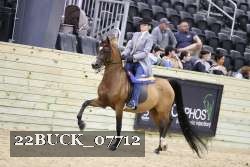 22BUCK_07712 proof