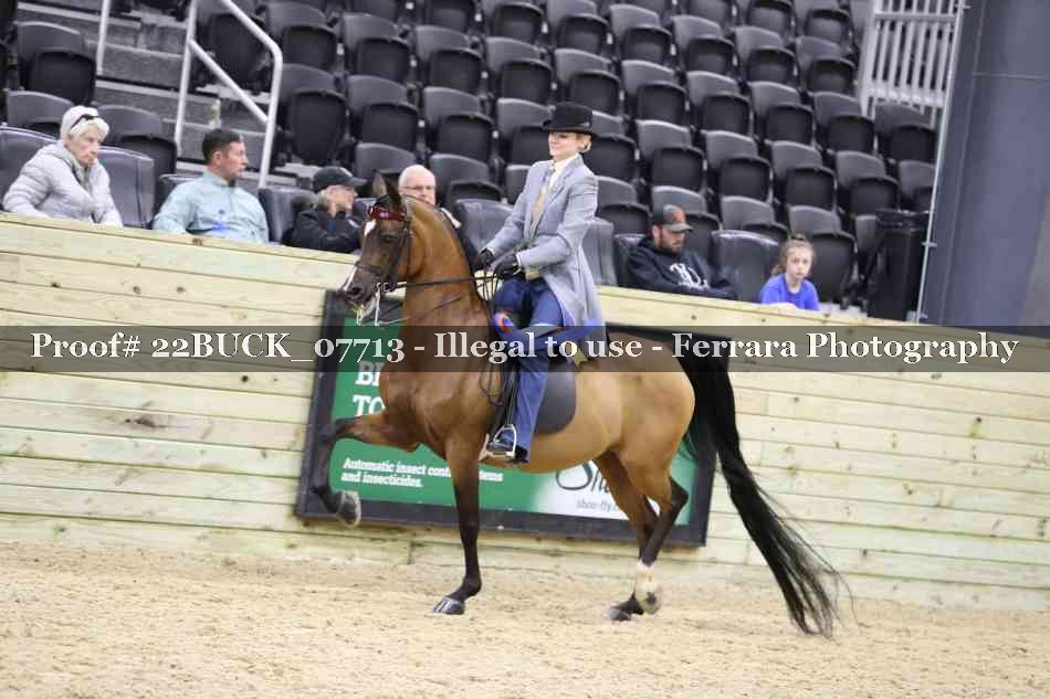 Proof 22BUCK_07713