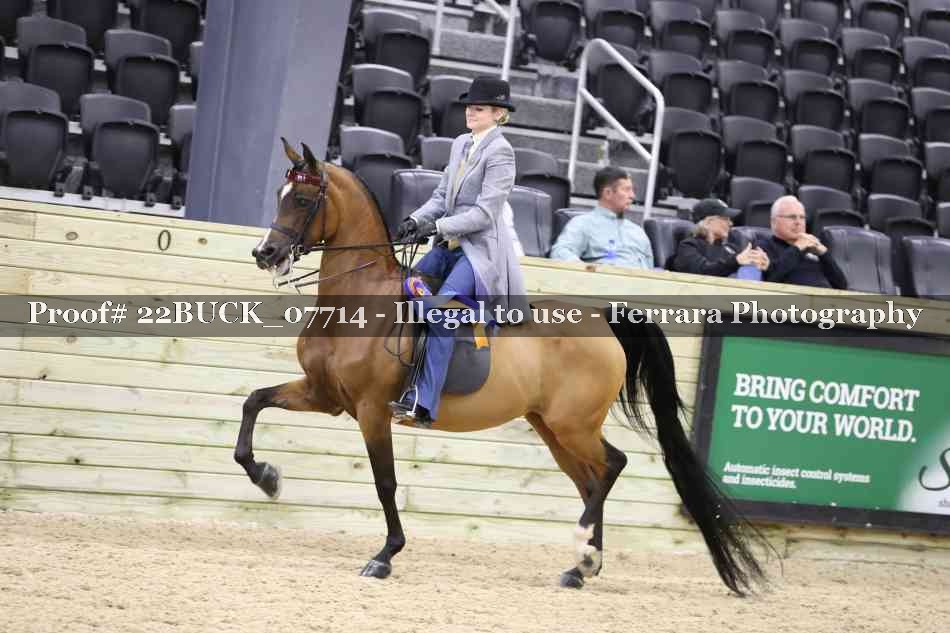Proof 22BUCK_07714