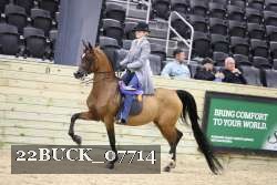 22BUCK_07714 proof