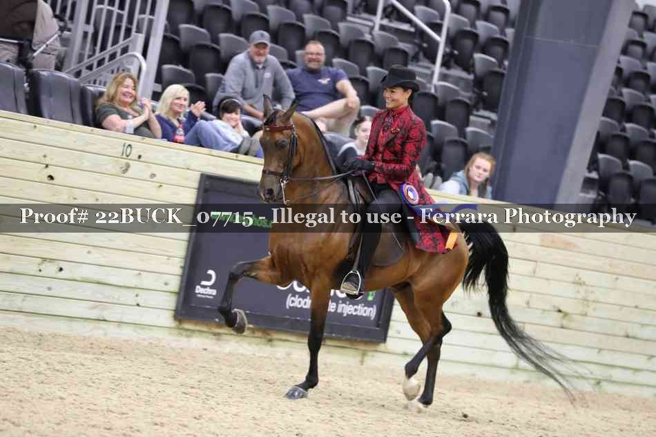 Proof 22BUCK_07715