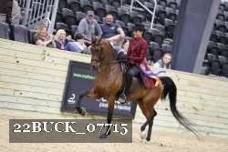 22BUCK_07715 proof
