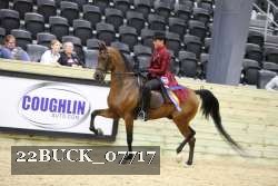 22BUCK_07717 proof