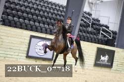 22BUCK_07718 proof