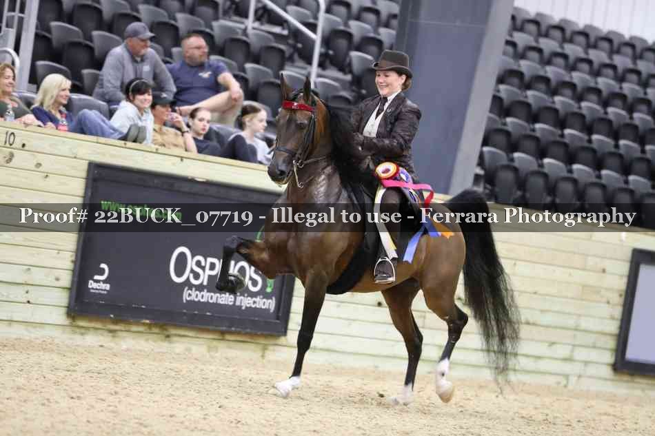Proof 22BUCK_07719