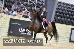 22BUCK_07719 proof