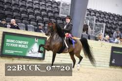 22BUCK_07720 proof