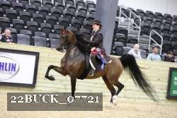 22BUCK_07721 proof