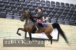 22BUCK_07722 proof