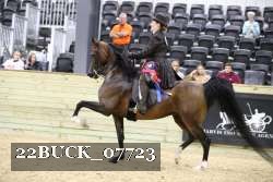 22BUCK_07723 proof