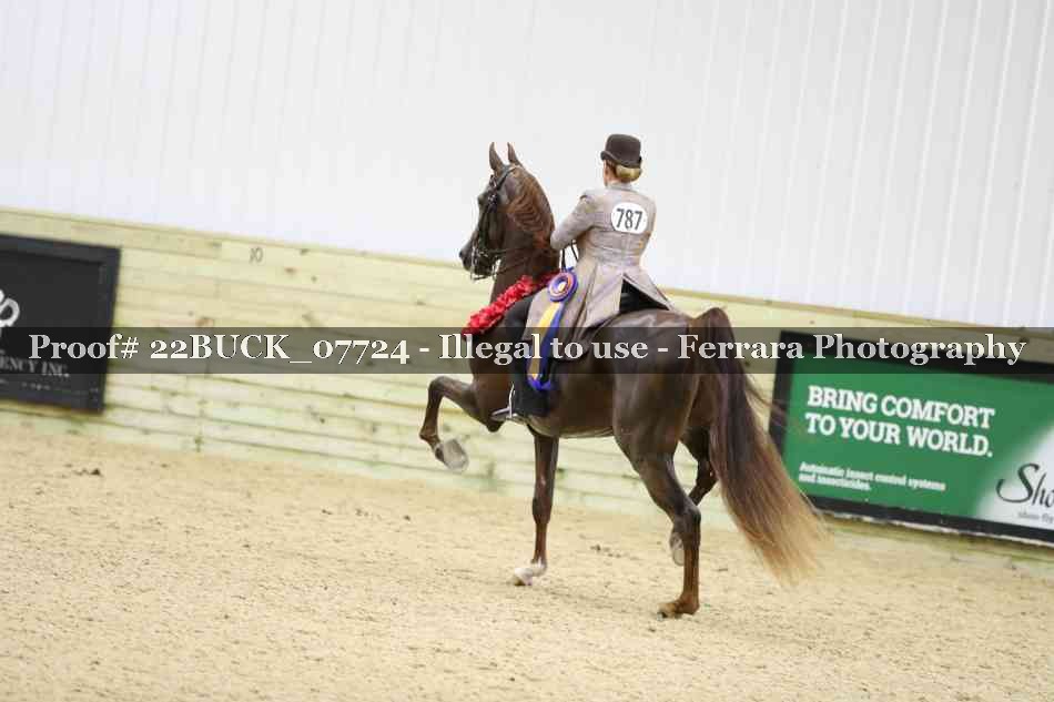 Proof 22BUCK_07724