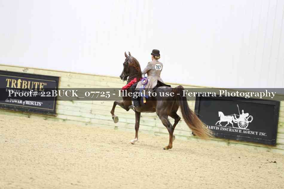 Proof 22BUCK_07725