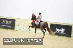 22BUCK_07725 proof