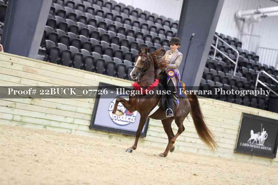 Proof 22BUCK_07726