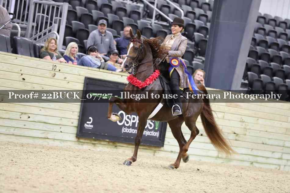 Proof 22BUCK_07727