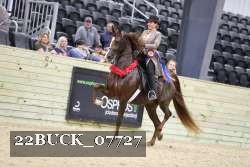 22BUCK_07727 proof