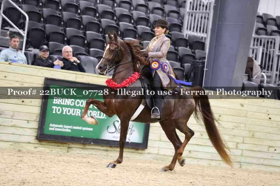 Proof 22BUCK_07728